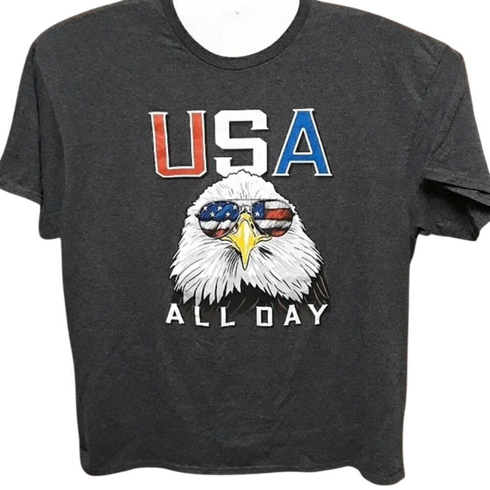 Delta Pro Weight Mens USA All Day Eagle Graphic T-Shirt Charcoal Gray Size‎ 2XL